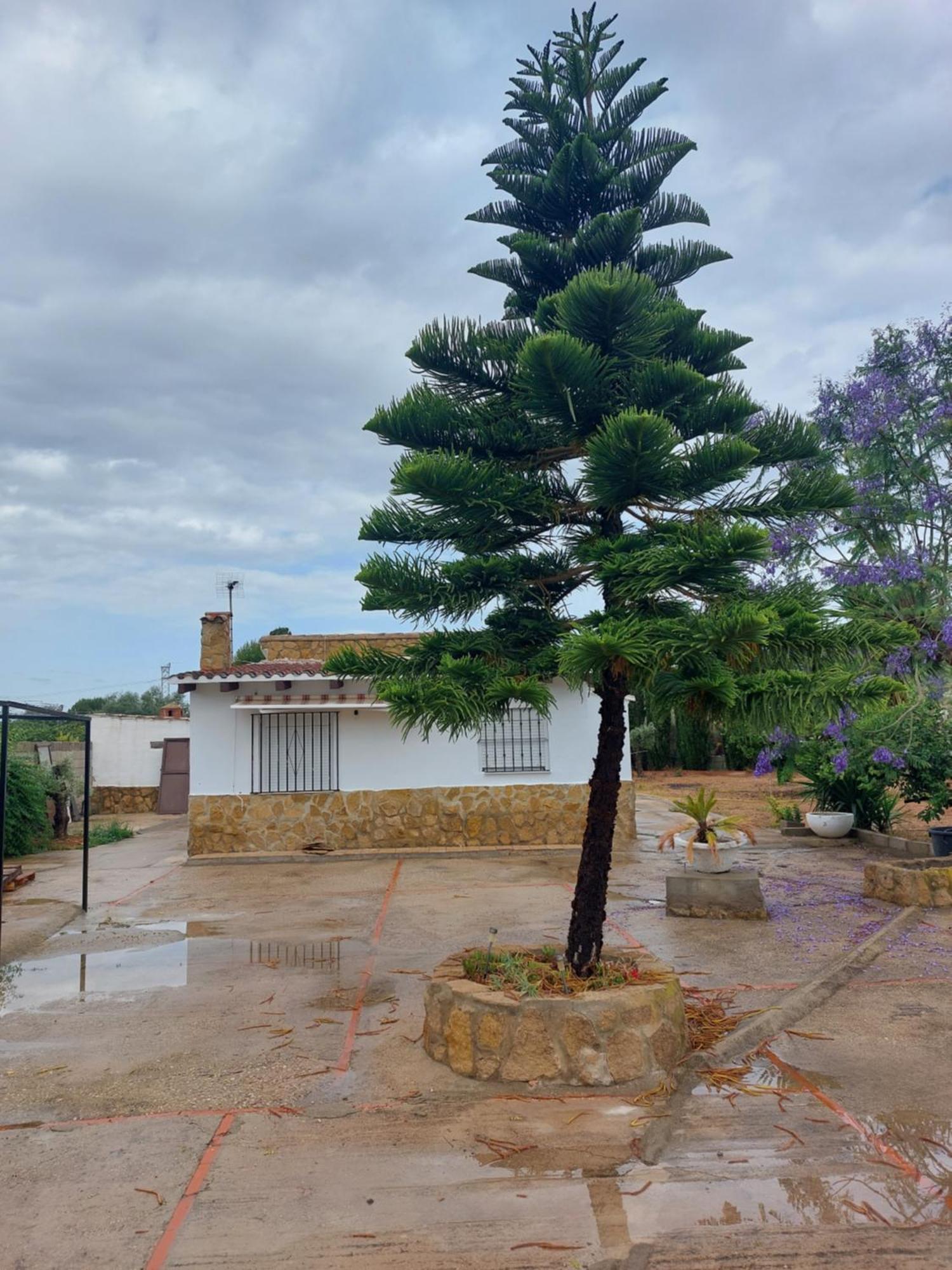 Les Berreries Villa Montroy Eksteriør bilde